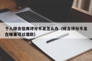 个人综合信用评分不足怎么办（综合评分不足在哪里可以借款）