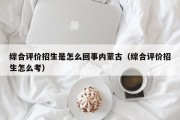 综合评价招生是怎么回事内蒙古（综合评价招生怎么考）