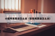 小提琴用英语怎么说（吉他用英语怎么说）