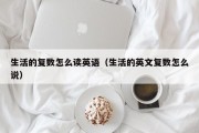 生活的复数怎么读英语（生活的英文复数怎么说）