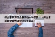 综合素质评价自我评价800字高二（综合素质评价自我评价300字高二）