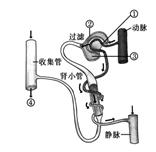 无锡动物园可以带食物喂动物吗_食物链示意图四个动物_水循环示意图板图