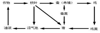 食物链示意图四个动物_无锡动物园可以带食物喂动物吗_水循环示意图板图