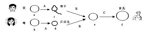 无锡动物园可以带食物喂动物吗_食物链示意图四个动物_水循环示意图板图