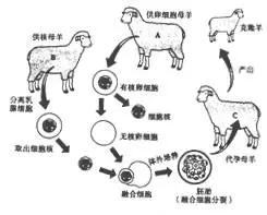 水循环示意图板图_食物链示意图四个动物_无锡动物园可以带食物喂动物吗