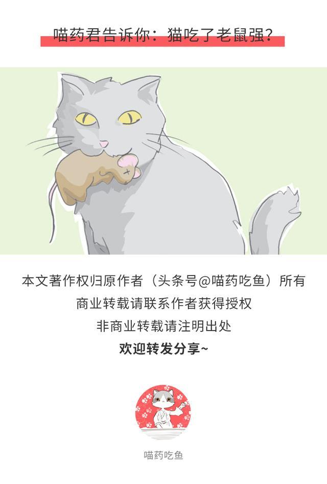 猫中毒了吃什么缓解_中毒猫咪缓解食物快速排泄_猫咪食物中毒了怎么快速缓解