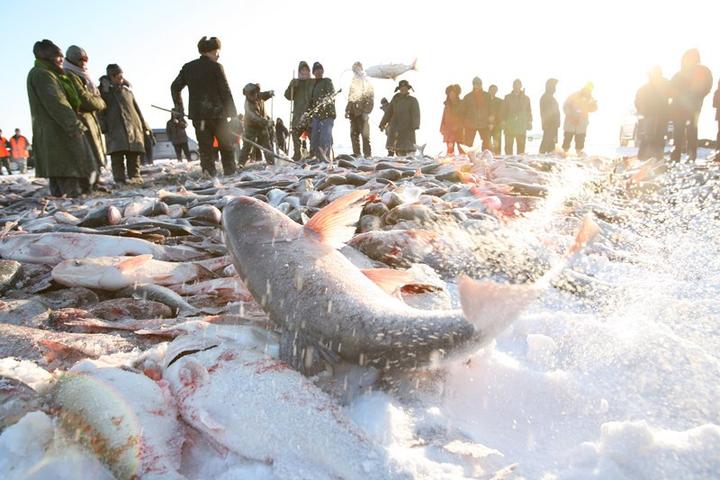 查干湖有多大?_查干湖有多大?_查干湖有多大?