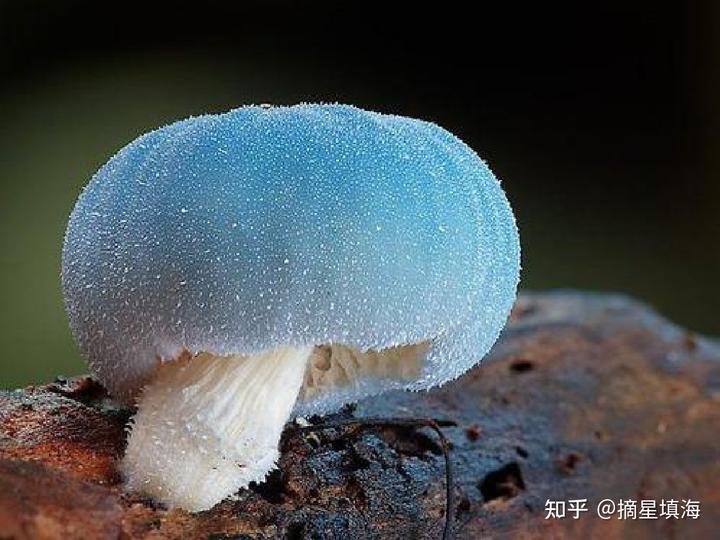 食物中毒吐完后能吃胃药么_孩子食物中毒呕吐吃什么药_中毒呕吐药食物吃孩子会怎么样