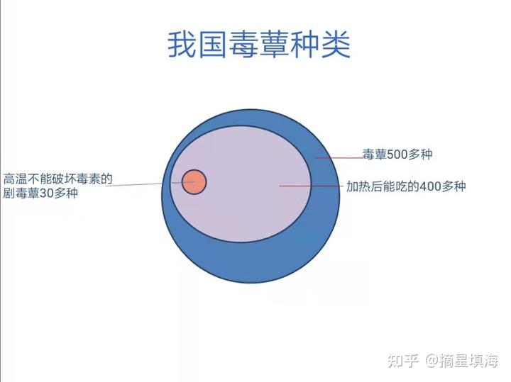 中毒呕吐药食物吃孩子会怎么样_孩子食物中毒呕吐吃什么药_食物中毒吐完后能吃胃药么