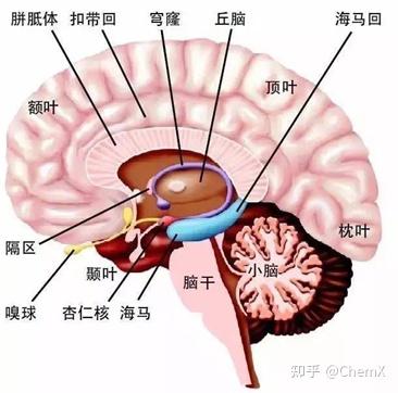 焦虑症必看的书_焦虑症书籍对焦虑症的帮助_了解焦虑症的书籍