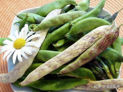 蘑菇中毒食物事件有什么特点_蘑菇食物中毒事件有哪些_蘑菇中毒食物事件有那些