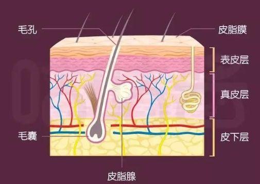 痘痘祛痘_科学祛痘方法,无痘肌肤不是梦!_祛痘的科学方法