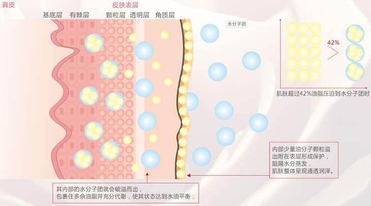 痘痘祛痘_祛痘的科学方法_科学祛痘方法,无痘肌肤不是梦!