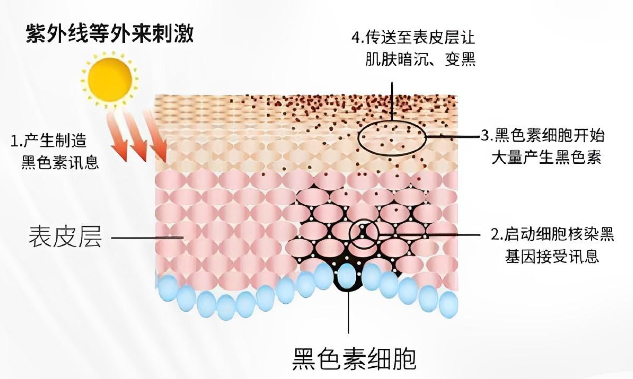 科学祛痘方法,无痘肌肤不是梦!_痘痘祛痘_祛痘科普